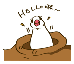 Java Sparrow sticker #872755