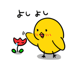 Chick's Everyday conversation 3 sticker #874725