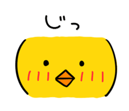 Chick's Everyday conversation 3 sticker #874739