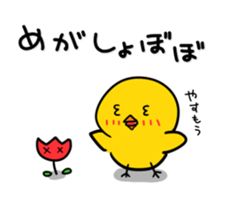 Chick's Everyday conversation 3 sticker #874744