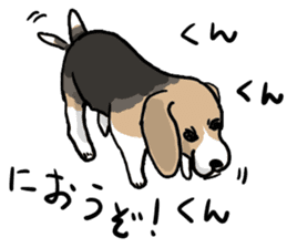Beagle Hapi sticker #875202