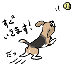 Beagle Hapi sticker #875208