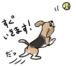 Beagle Hapi sticker #875208