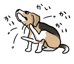 Beagle Hapi sticker #875209