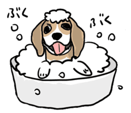 Beagle Hapi sticker #875211