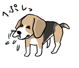 Beagle Hapi sticker #875212