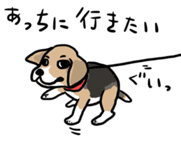 Beagle Hapi sticker #875214