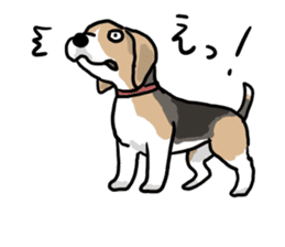 Beagle Hapi sticker #875223