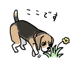 Beagle Hapi sticker #875224