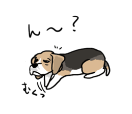 Beagle Hapi sticker #875227