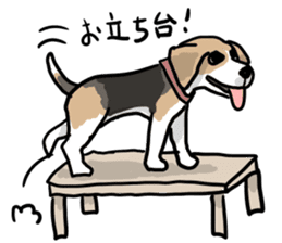 Beagle Hapi sticker #875231