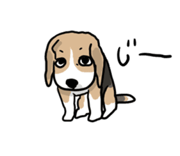 Beagle Hapi sticker #875235