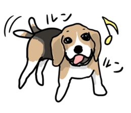 Beagle Hapi sticker #875236