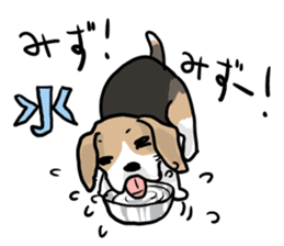 Beagle Hapi sticker #875237