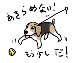 Beagle Hapi sticker #875238