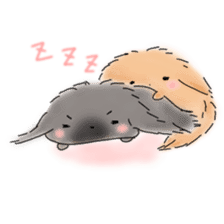 Peke Twins sticker #875668