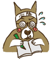 Boxer dog "Guy" sticker #877848