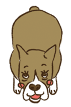 Boxer dog "Guy" sticker #877860