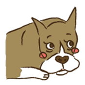 Boxer dog "Guy" sticker #877861