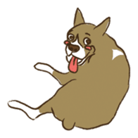 Boxer dog "Guy" sticker #877866