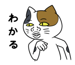 Poor vocabulary cat sticker #878204