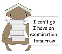 Rotter Otter English version sticker #880462