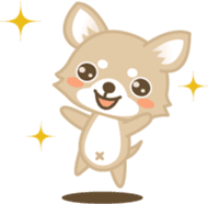 Kawaii Dog - Chihuahua sticker #880600