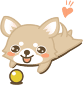 Kawaii Dog - Chihuahua sticker #880627