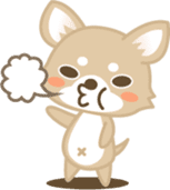 Kawaii Dog - Chihuahua sticker #880631