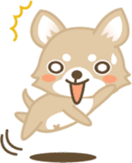 Kawaii Dog - Chihuahua sticker #880638
