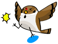 Funny bird Suzume-chan sticker #881041