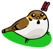 Funny bird Suzume-chan sticker #881049