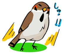 Funny bird Suzume-chan sticker #881073