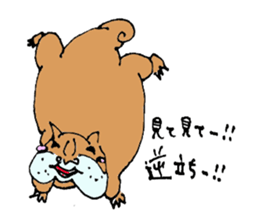 Mr.Squirrel sticker #883676