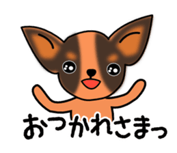 Talkative Smooth Coat Chihuahua sticker #885159