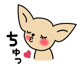Talkative Smooth Coat Chihuahua sticker #885160