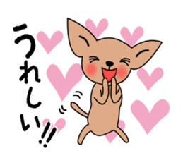 Talkative Smooth Coat Chihuahua sticker #885161