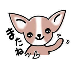 Talkative Smooth Coat Chihuahua sticker #885164