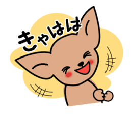 Talkative Smooth Coat Chihuahua sticker #885165