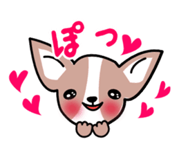 Talkative Smooth Coat Chihuahua sticker #885167