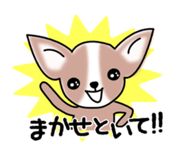 Talkative Smooth Coat Chihuahua sticker #885169