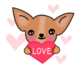 Talkative Smooth Coat Chihuahua sticker #885175
