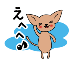 Talkative Smooth Coat Chihuahua sticker #885178