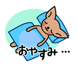 Talkative Smooth Coat Chihuahua sticker #885181