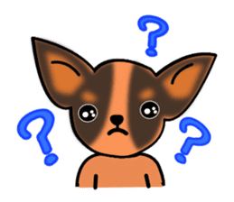 Talkative Smooth Coat Chihuahua sticker #885182