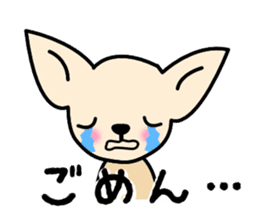 Talkative Smooth Coat Chihuahua sticker #885186