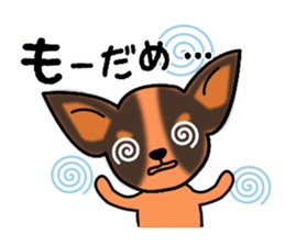 Talkative Smooth Coat Chihuahua sticker #885187