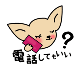 Talkative Smooth Coat Chihuahua sticker #885189