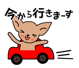 Talkative Smooth Coat Chihuahua sticker #885190