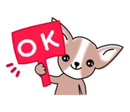 Talkative Smooth Coat Chihuahua sticker #885191